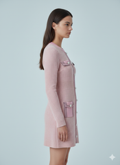 AD Luxurious StyleI Inspo Pink  Mini Dress